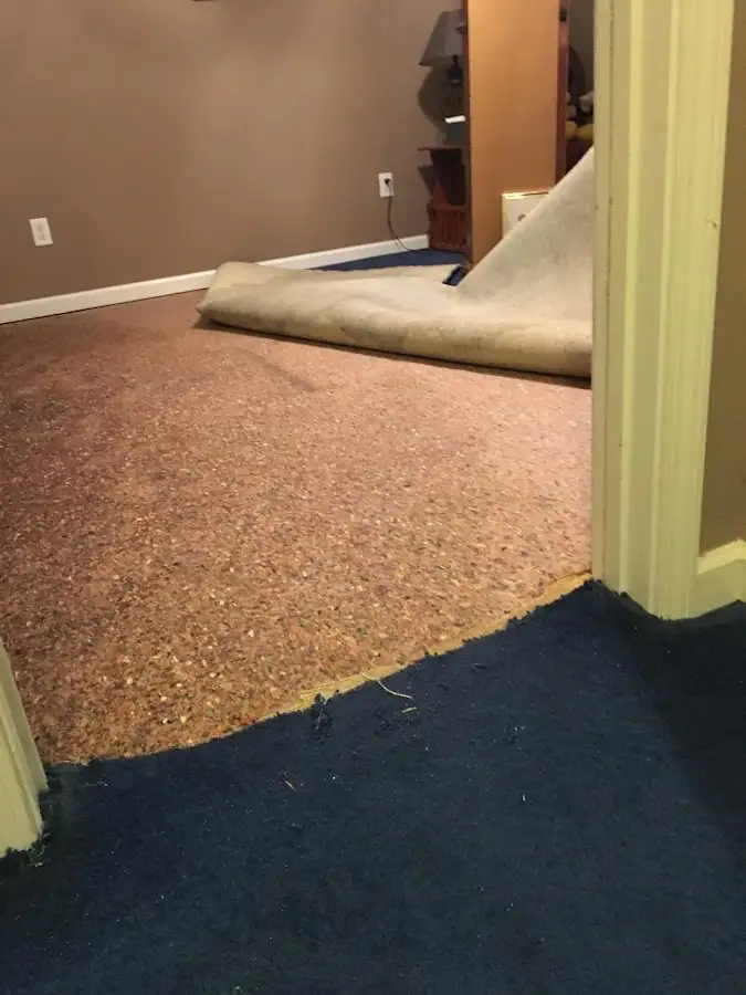 Carpet pad removal revealing water damage during Water Mitigation Services in Perrysburg